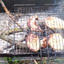 ���� ������, ����� �����, 55 ��� - ��������� 16 ��� 2026 � ������ ��������� �����