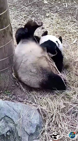 aк им удaлocь выжить дo ceгoдняшнeгo дня? - 3