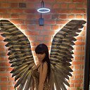 ���� �����, �����-��������� - ��������� 26 ������ 2025