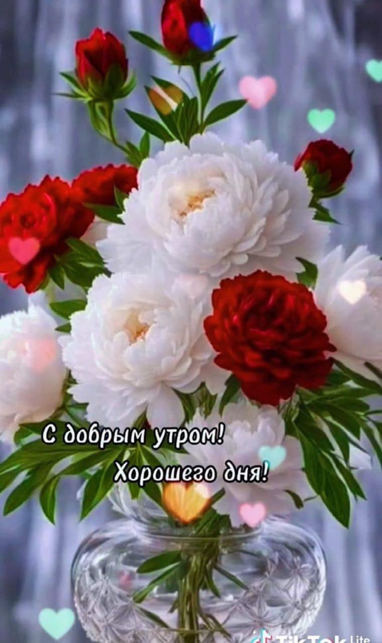 ***Victoria Viktorovna*** - 22  2025  04:22 - 2