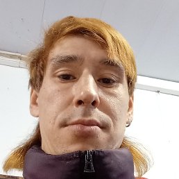 ������, ���������, 36 ���