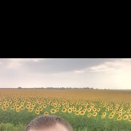 �������, 37 ���, �������