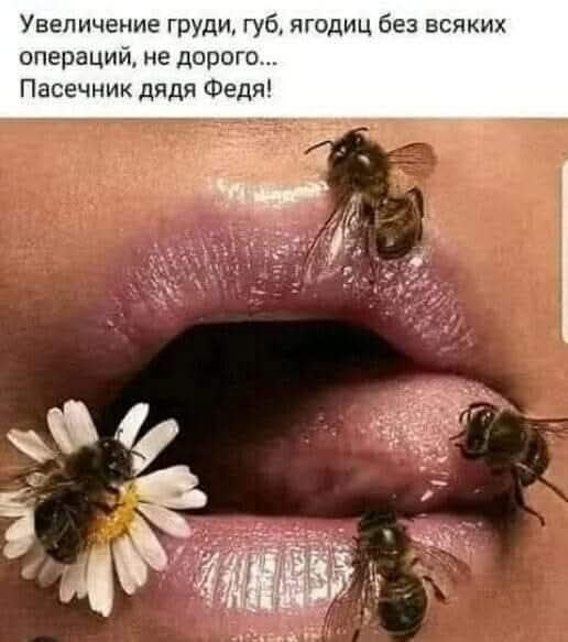   - 3  2025  15:14