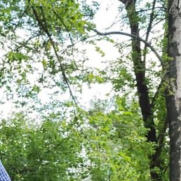 ���� ��������, �������, 68 ���