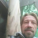 ���� ����, ������, 49 ��� - ��������� 3 ������� 2024 � ������ ���� ����������