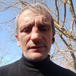 , , 51 