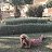���� Eva, ����, 50 ��� - ��������� 17 ��� 2026
