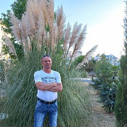 �������, 59 ���, �������