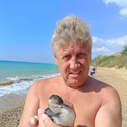 , 62, 