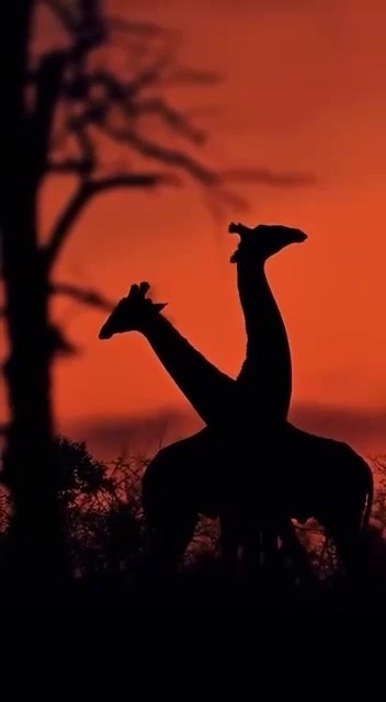   ,     ?   .  ... - 2