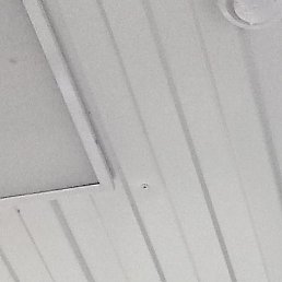 , , 44 