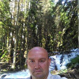 , 53, 