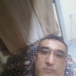 ���� ���, �������, 43 ���� - ��������� 13 ������ 2024