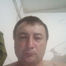 , 41, 