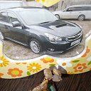 ���� ������, �����������, 36 ��� - ��������� 29 ������� 2024 � ������ ���� ����������