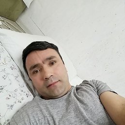 ����, ���������, 43 ����