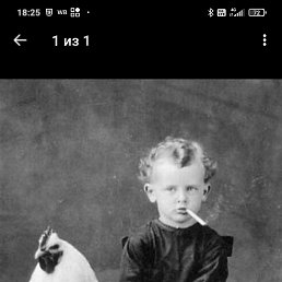 ���� ������, �����-���������, 50 ��� - ��������� 12 ������ 2026