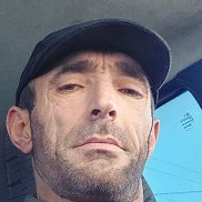 �����, 41 ���, ���������