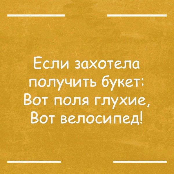  - 17  2024  10:08