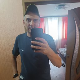 �����, 41 ���, ������