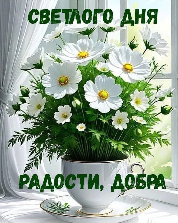 ***Victoria Viktorovna*** - 3  2025  05:51