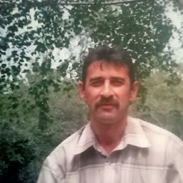 , 50, 