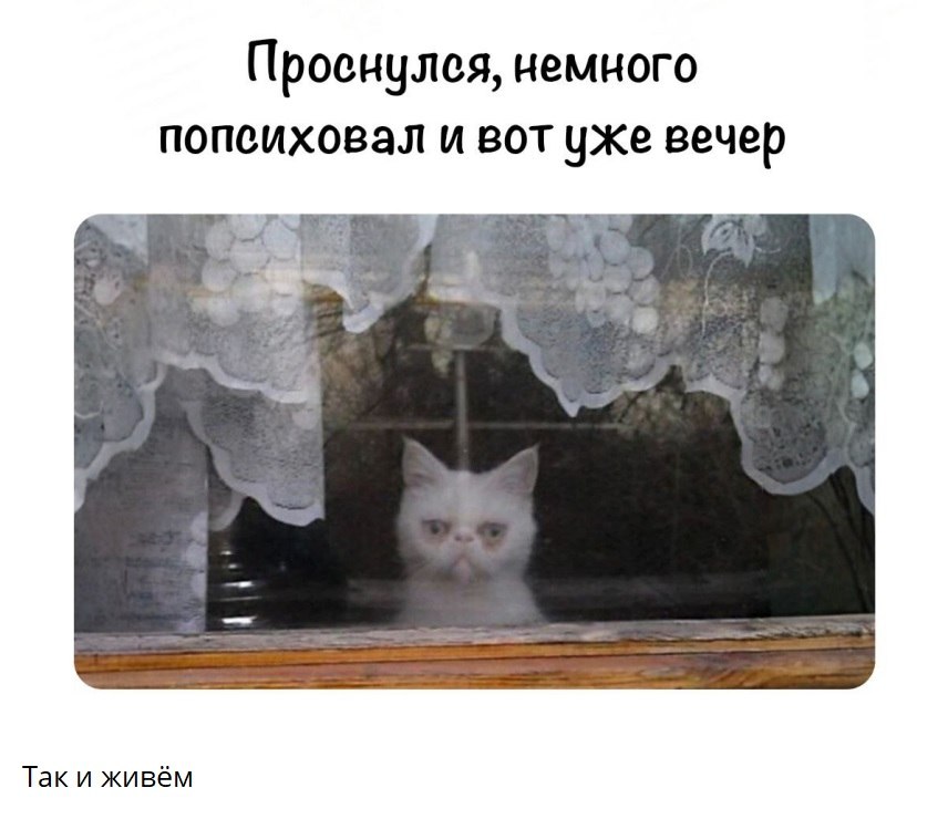   - 17  2025  05:43
