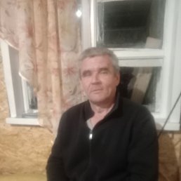 , 51, 