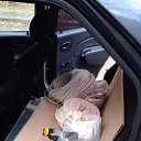 ���� �����, ������, 51 ��� - ��������� 8 ������ 2024