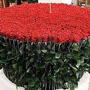 ���� ����, �������, 45 ��� - ��������� 3 ������� 2025