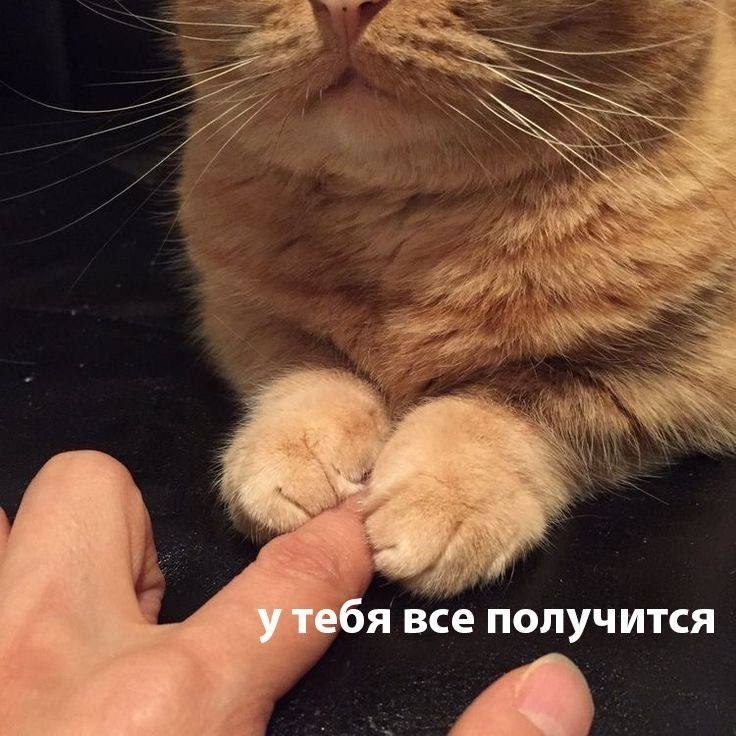 ������ ����� �� �������! �� ������� �� ������������ �� ��������� �� ������� ���� �� ���������� �� ...