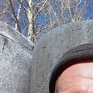 ���������, 38 ���, ������