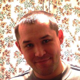 �����, 41 ���, ������