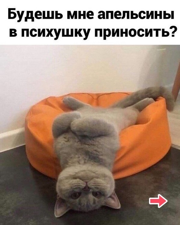 ��� ���� � ����� �� �� - 24 ����� 2026 � 13:00