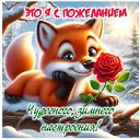 ���� �����, �����������, 68 ��� - ��������� 13 ������ 2026 � ������ ������ ��������