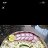 ���� Gdjhvh, ������, 88 ��� - ��������� 16 ��� 2026