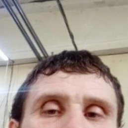  , 41 , 