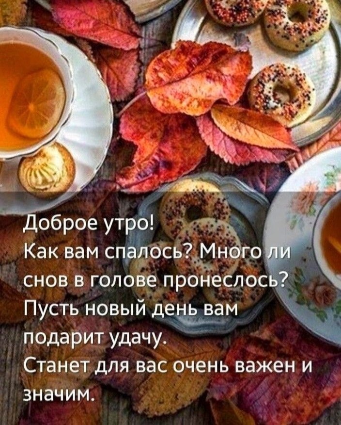   ,    . - 16  2025  22:50