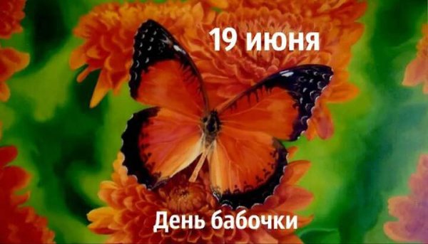 Именины: Рафаил, Виссарион, Сусанна, Иларион, Фекла - 3