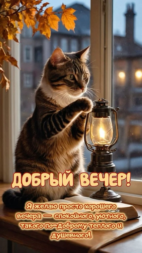   - 9  2024  20:52