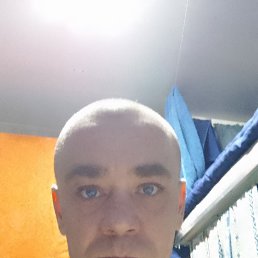 , 42, 