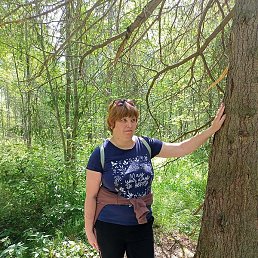 ����, ���������, 44 ����