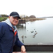 , 64 , 