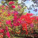  ,  -  15  2025   2025