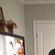 ��������, 47 ���, ������