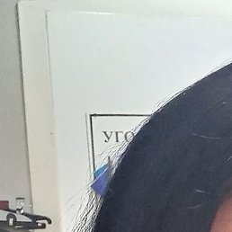 ����, ������, 41 ���