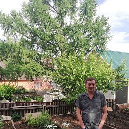 ���������, ������, 54 ����