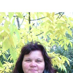 , 55, 