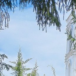 �����, ������, 58 ���