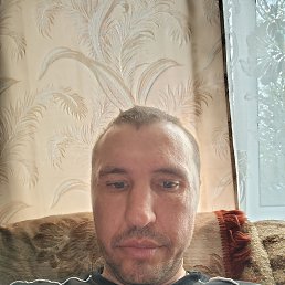 , 37, 